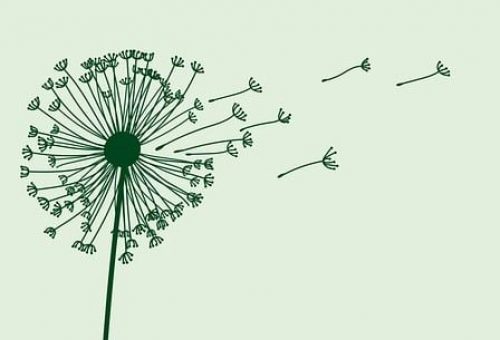 El papel del apoyo psicológico y del entrenamiento de la función respiratoria en la reducción de la ansiedad y la mejora de la función pulmonar en pacientes con asma bronquial