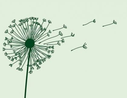 El papel del apoyo psicológico y del entrenamiento de la función respiratoria en la reducción de la ansiedad y la mejora de la función pulmonar en pacientes con asma bronquial