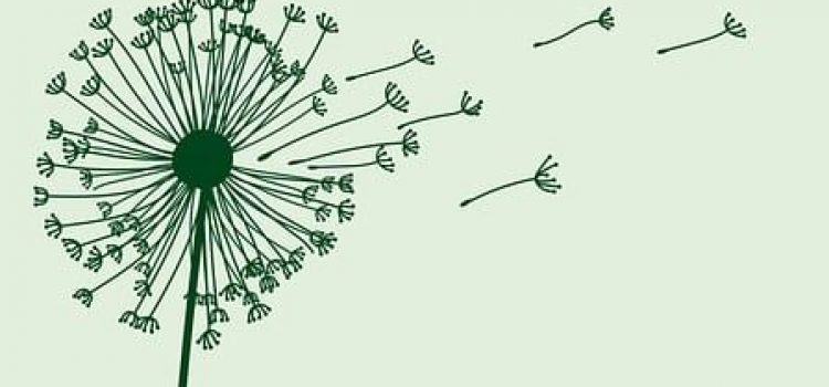 El papel del apoyo psicológico y del entrenamiento de la función respiratoria en la reducción de la ansiedad y la mejora de la función pulmonar en pacientes con asma bronquial