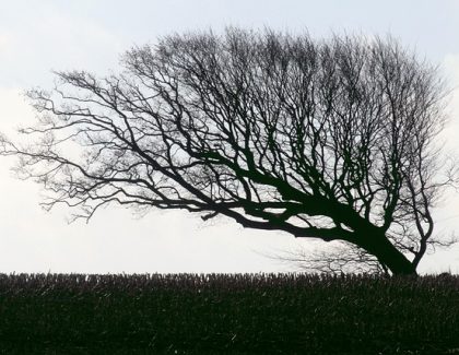 Remisión clínica mantenida durante dos años con benralizumab en el asma eosinofílica grave: Estudio XALOC-1