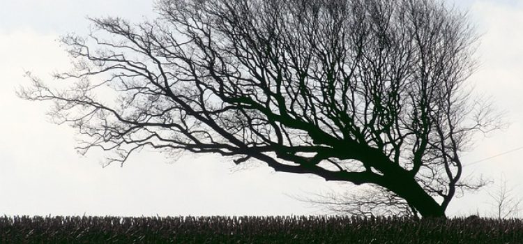 Remisión clínica mantenida durante dos años con benralizumab en el asma eosinofílica grave: Estudio XALOC-1